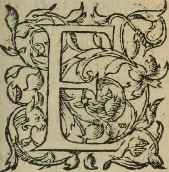 An illustration from Les Mémoires de Messire Martin Du Bellay, seigneur de Langey, ausquels l'autheur a inséré trois livres et quelques fragmens des Ogdoades de Guillaume Du Bellay, 1571, leaf 780
