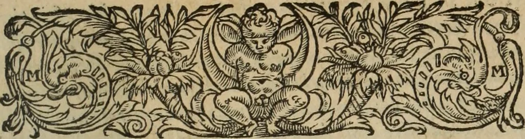 An illustration from Les Mémoires de Messire Martin Du Bellay, seigneur de Langey, ausquels l'autheur a inséré trois livres et quelques fragmens des Ogdoades de Guillaume Du Bellay, 1571, leaf 8