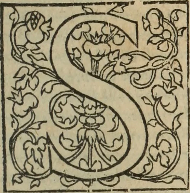 An illustration from Les Mémoires de Messire Martin Du Bellay, seigneur de Langey, ausquels l'autheur a inséré trois livres et quelques fragmens des Ogdoades de Guillaume Du Bellay, 1571, leaf 8