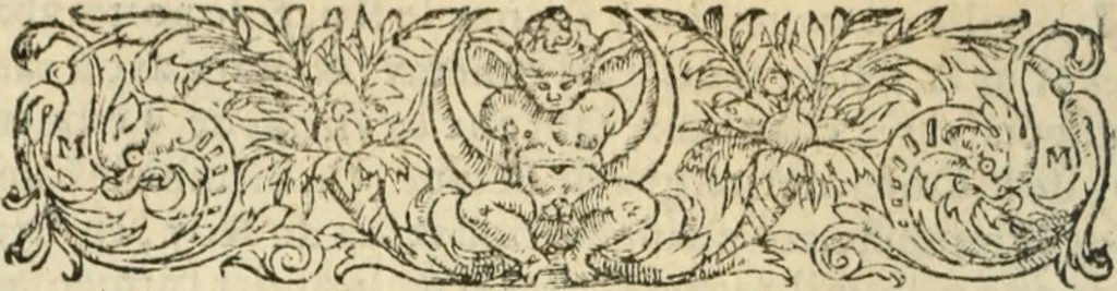 An illustration from Les Mémoires de Messire Martin Du Bellay, seigneur de Langey, ausquels l'autheur a inséré trois livres et quelques fragmens des Ogdoades de Guillaume Du Bellay, 1571, leaf 853