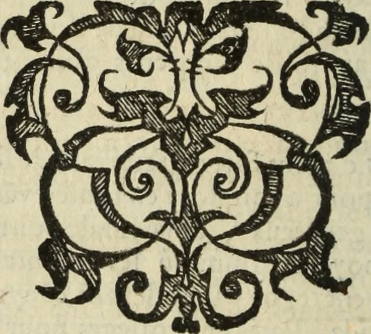 An illustration from Les Mémoires de Messire Martin Du Bellay, seigneur de Langey, ausquels l'autheur a inséré trois livres et quelques fragmens des Ogdoades de Guillaume Du Bellay, 1571, leaf 985