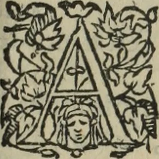 An illustration from Les Mémoires de Messire Martin Du Bellay, seigneur de Langey, ausquels l'autheur a inséré trois livres et quelques fragmens des Ogdoades de Guillaume Du Bellay, 1571, leaf 986