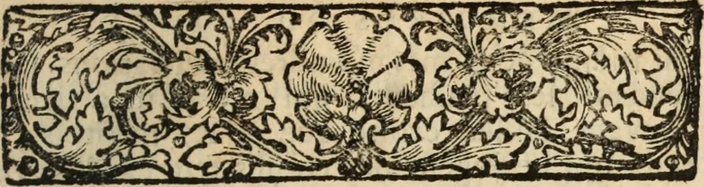 An illustration from Les mémoires de messire Roger de Rabutin comte de Bussy, lieutenant general des armeés du roy .., 1696, leaf 16