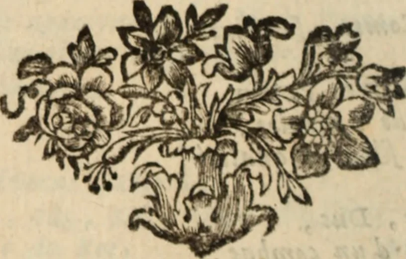 An illustration from Les mémoires de messire Roger de Rabutin comte de Bussy, lieutenant general des armeés du roy .., 1696, leaf 493