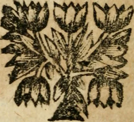 An illustration from Les mémoires de messire Roger de Rabutin comte de Bussy, lieutenant general des armeés du roy .., 1696, leaf 209