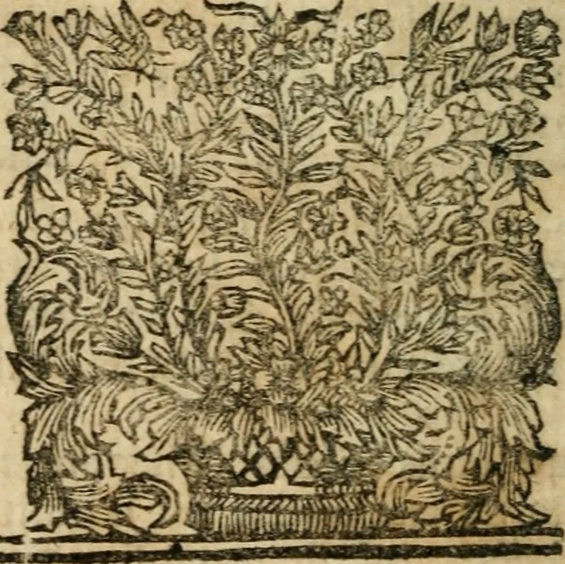 An illustration from Les mémoires de messire Roger de Rabutin comte de Bussy, lieutenant general des armeés du roy .., 1696, leaf 221