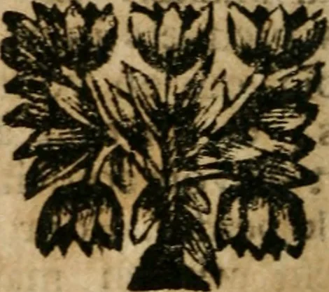 An illustration from Les mémoires de messire Roger de Rabutin comte de Bussy, lieutenant general des armeés du roy .., 1696, leaf 245