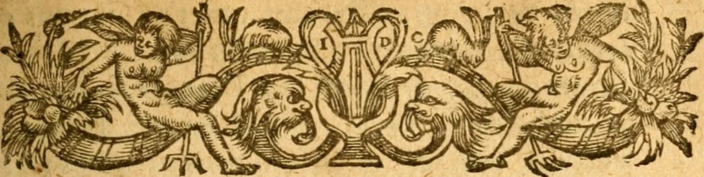 An illustration from Les mémoires de Philippe de Commines chevalier seigneur d'Argenton. Sur les principaux faicts et gestes de Loys XI et Charles VIII son fils, roys de France, 1616, leaf 22