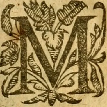 An illustration from Les mémoires de Philippe de Commines chevalier seigneur d'Argenton. Sur les principaux faicts et gestes de Loys XI et Charles VIII son fils, roys de France, 1616, leaf 22