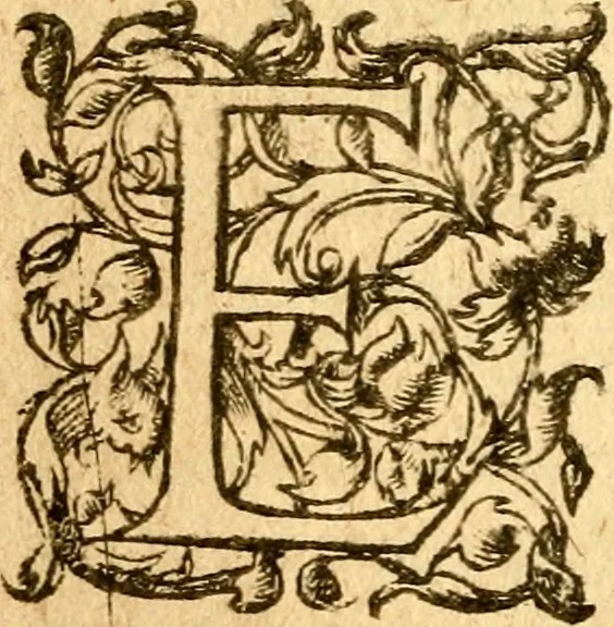 An illustration from Les mémoires de Philippe de Commines chevalier seigneur d'Argenton. Sur les principaux faicts et gestes de Loys XI et Charles VIII son fils, roys de France, 1616, leaf 255