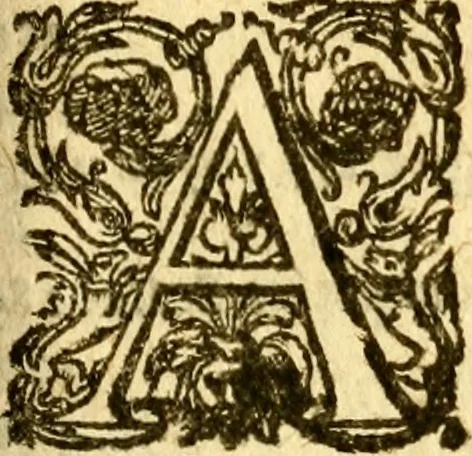 An illustration from Les mémoires de Philippe de Commines chevalier seigneur d'Argenton. Sur les principaux faicts et gestes de Loys XI et Charles VIII son fils, roys de France, 1616, leaf 780