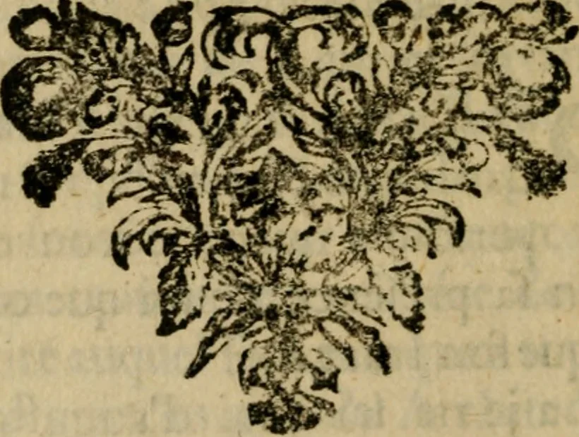 An illustration from Les monumens de Rome, ou, Descriptions des plus beaux ouvrages de peinture, de sculpture, et d'architecture, qui se voyent à Rome, & aux environs : avec des observations sur les principales beautez de ceux de ces ouvrages dont on ne fait pas des descriptions, 1701, leaf 201