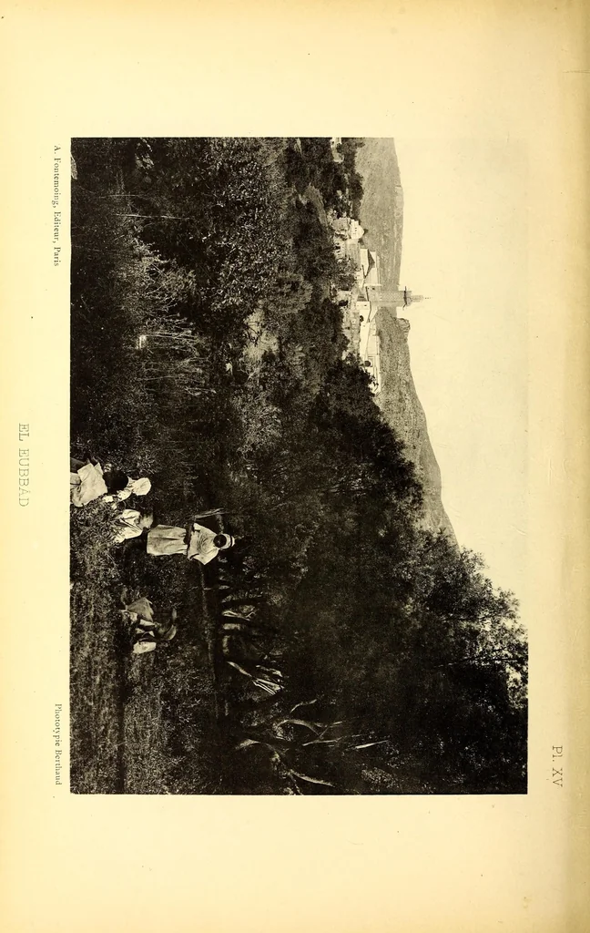 An illustration from Les monuments arabes de Tlemcen, 1903, leaf 266