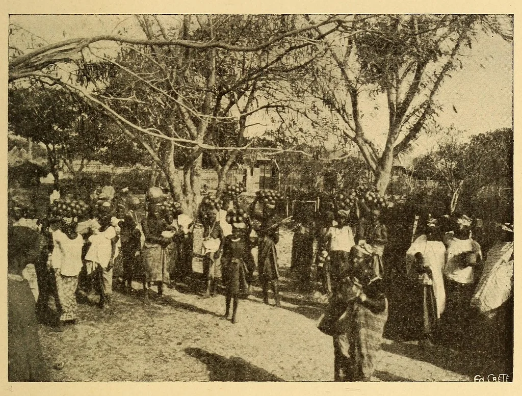 An illustration from Le Sénégal, 1907, leaf 219