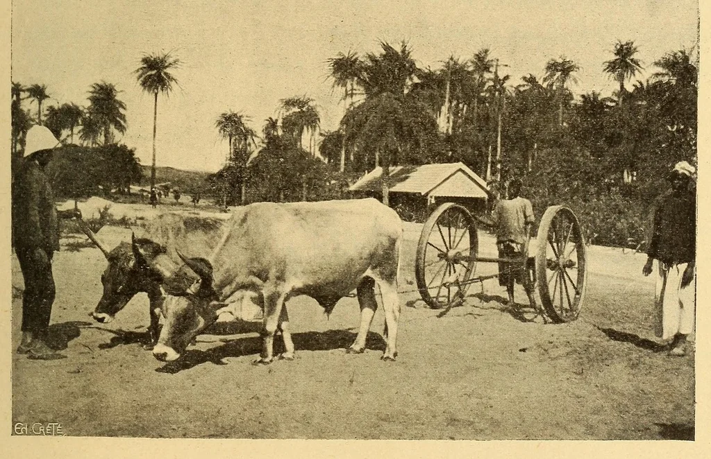 An illustration from Le Sénégal, 1907, leaf 349