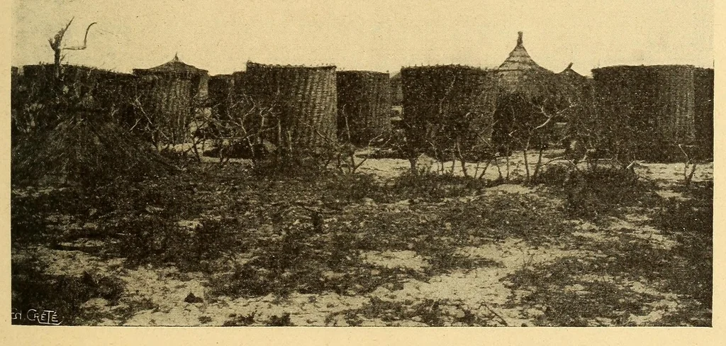 An illustration from Le Sénégal, 1907, leaf 383