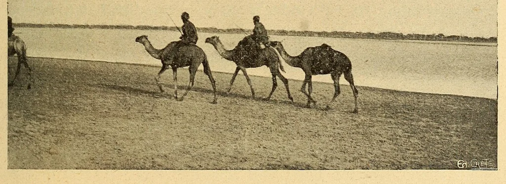 An illustration from Le Sénégal, 1907, leaf 79