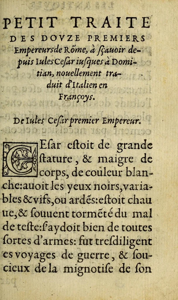 An illustration from Les nouuelles, & antiques merueilles. : Plus, un traicté des douze Cesars, premiers empereurs de Romme,, 1554, leaf 99