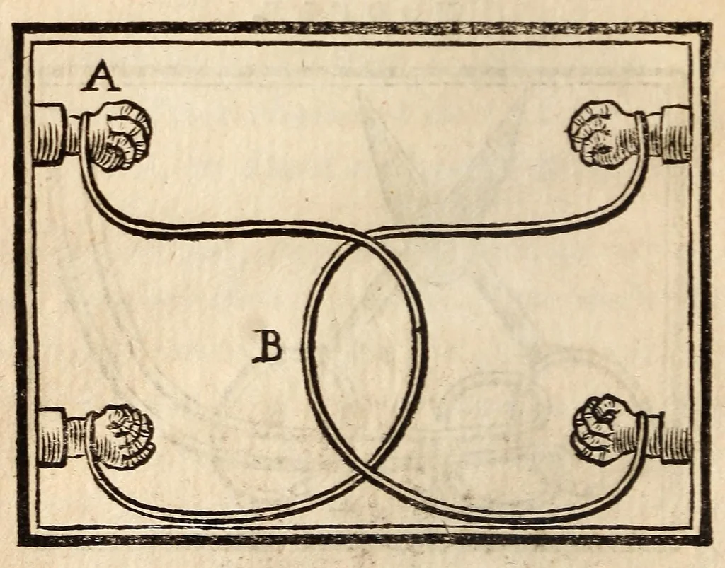 An illustration from Les Nouveaux savans de société, ou Recueil de jeux, la plupart neufs et inconnus .., 1808, leaf 202