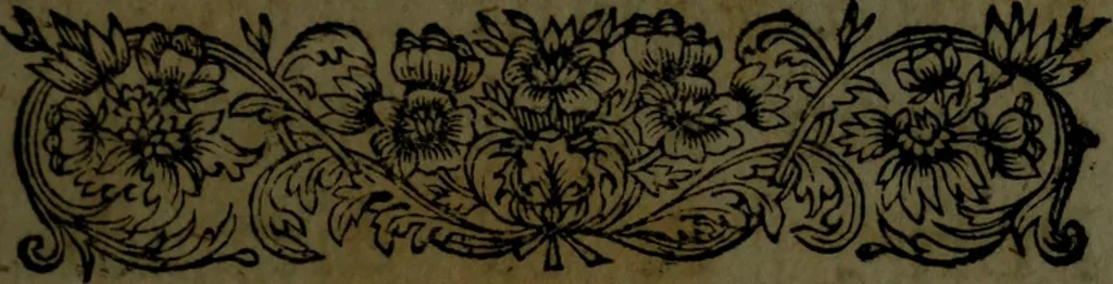 An illustration from Les novvelles oeuvres de Monsieur de Cyrano Bergerac : contenant l'histoire comique des estats & empires du soleil ; plusieurs lettres et autres pieces diuertissantes, 1662, leaf 50