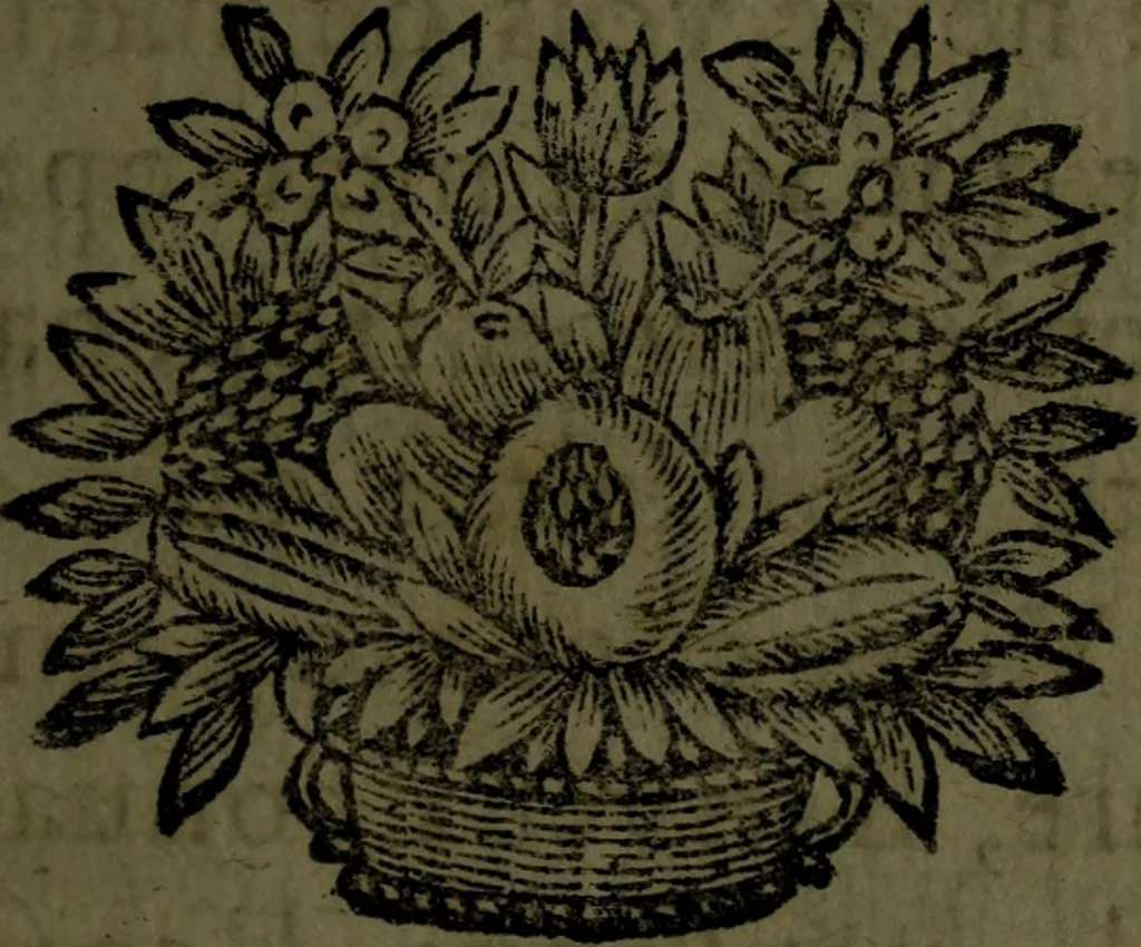 An illustration from Les novvelles oeuvres de Monsieur de Cyrano Bergerac : contenant l'histoire comique des estats & empires du soleil ; plusieurs lettres et autres pieces diuertissantes, 1662, leaf 620