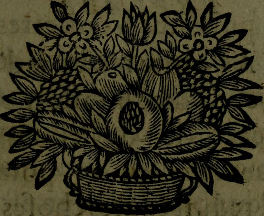 An illustration from Les novvelles oeuvres de Monsieur de Cyrano Bergerac : contenant l'histoire comique des estats & empires du soleil ; plusieurs lettres et autres pieces diuertissantes, 1662, leaf 660