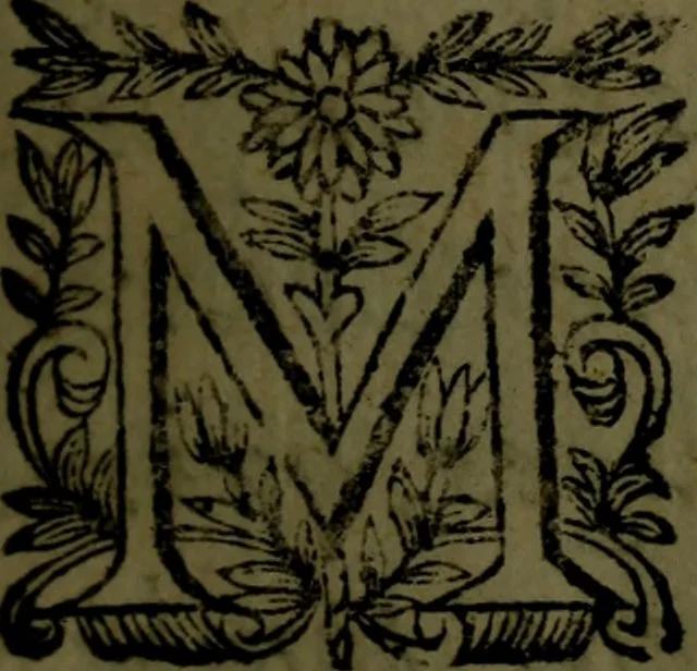 An illustration from Les novvelles oeuvres de Monsieur de Cyrano Bergerac : contenant l'histoire comique des estats & empires du soleil ; plusieurs lettres et autres pieces diuertissantes, 1662, leaf 8