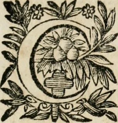 An illustration from Les oeuvres de maitre François Thevenin ... : contenans un Traité des operations de chirurgie, un Traité des tumeurs, & un Dictionnaire etymologique des mots grecs servans à la medecine : recüeillies par ... Guillavme Parthon .., 1691, leaf 10