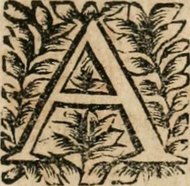 An illustration from Les oeuvres de maitre François Thevenin ... : contenans un Traité des operations de chirurgie, un Traité des tumeurs, & un Dictionnaire etymologique des mots grecs servans à la medecine : recüeillies par ... Guillavme Parthon .., 1691, leaf 308