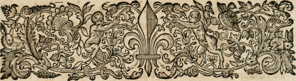 An illustration from Les oeuvres de maitre François Thevenin ... : contenans un Traité des operations de chirurgie, un Traité des tumeurs, & un Dictionnaire etymologique des mots grecs servans à la medecine : recüeillies par ... Guillavme Parthon .., 1691, leaf 6