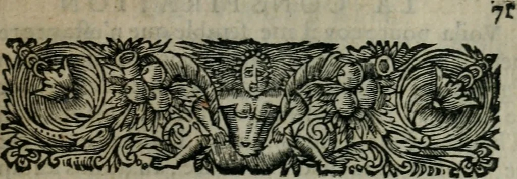 An illustration from Les Oeuvres de monsieur Sarasin, 1663, leaf 144