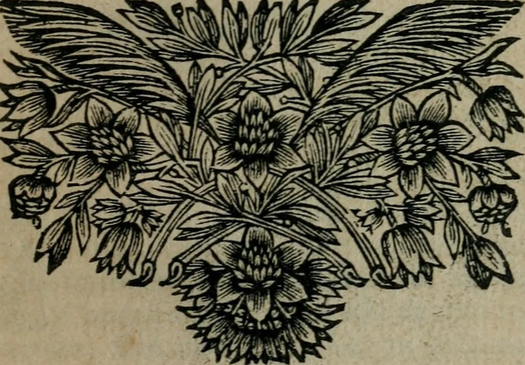 An illustration from Les Oeuvres de monsieur Sarasin, 1663, leaf 182