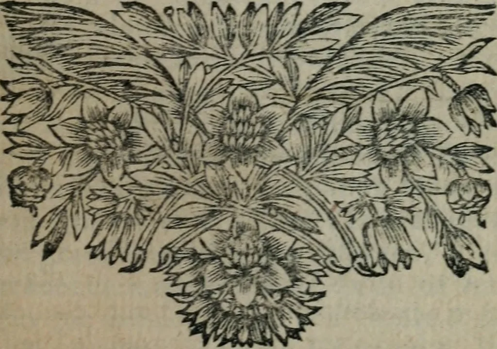 An illustration from Les Oeuvres de monsieur Sarasin, 1663, leaf 210