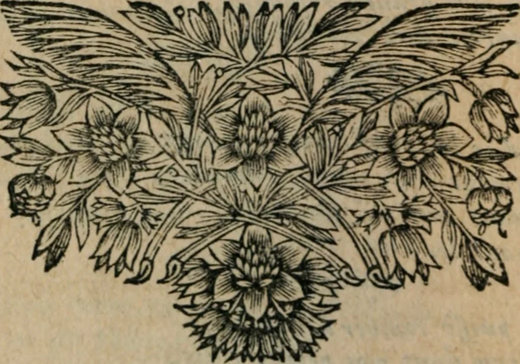 An illustration from Les Oeuvres de monsieur Sarasin, 1663, leaf 449