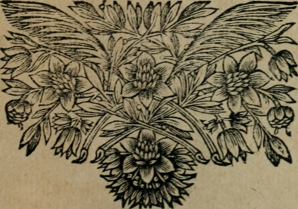 An illustration from Les Oeuvres de monsieur Sarasin, 1663, leaf 472