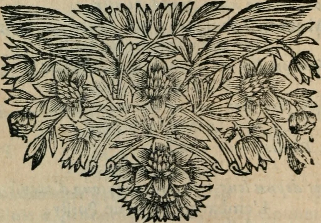 An illustration from Les Oeuvres de monsieur Sarasin, 1663, leaf 593