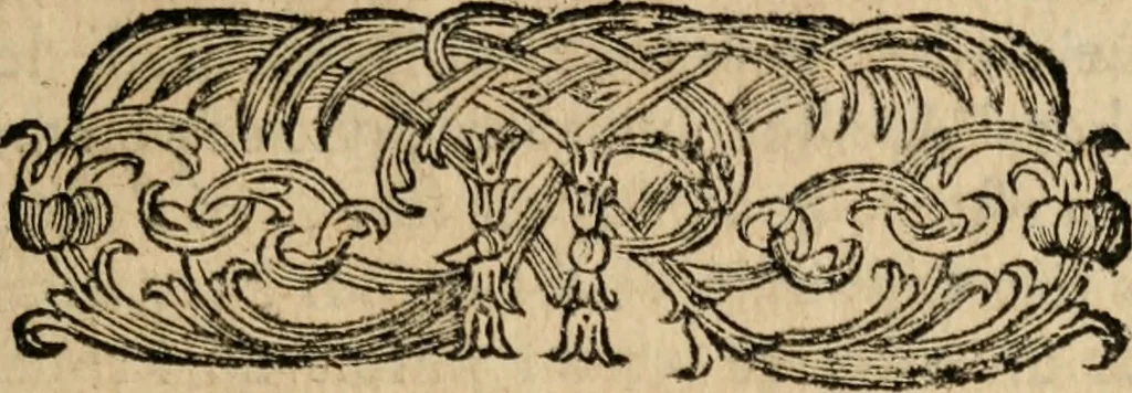 An illustration from Les oeuvres de Monsieur de Cyrano Bergerac, 1676, leaf 40