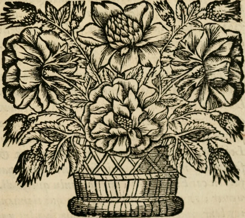 An illustration from Les oeuvres de Monsieur de Cyrano Bergerac, 1676, leaf 434
