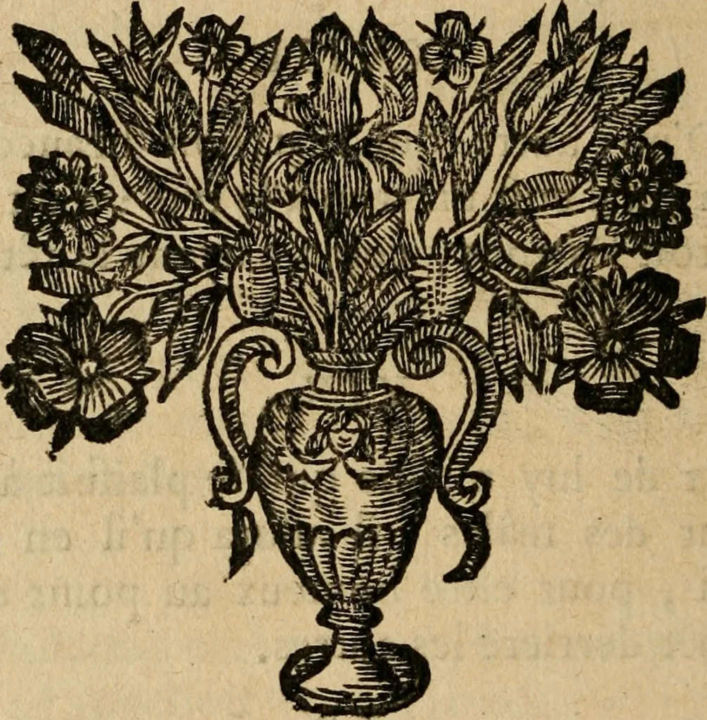 An illustration from Les oeuvres de Monsieur de Cyrano Bergerac, 1676, leaf 441