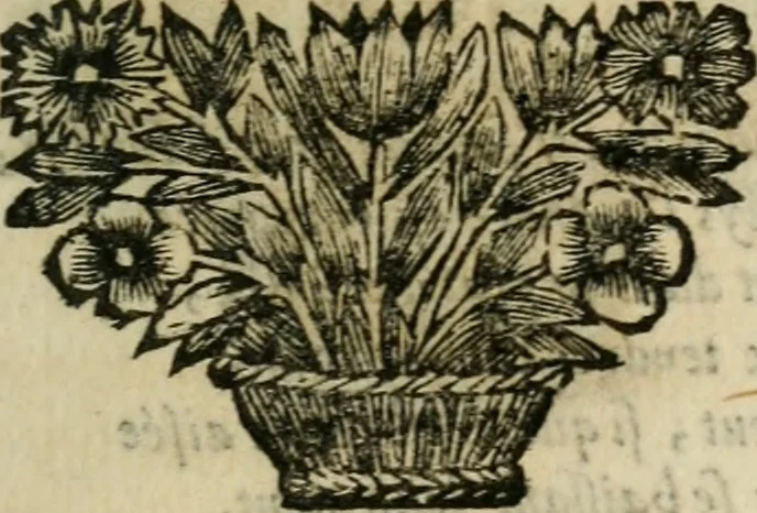 An illustration from Les Oeuvres de Mr Sarasin, 1694, leaf 474