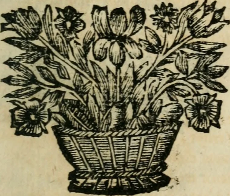 An illustration from Les Oeuvres de Mr Sarasin, 1694, leaf 476
