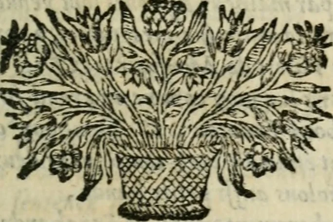 An illustration from Les Oeuvres de Mr Sarasin, 1694, leaf 516