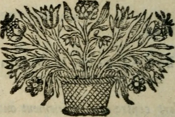 An illustration from Les Oeuvres de Mr Sarasin, 1694, leaf 601