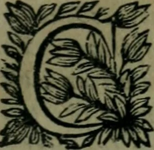 An illustration from Les oeuvres de Théophile, divisée en trois parties : dédiées aux beaux esprits de ce temps, 1662, leaf 246