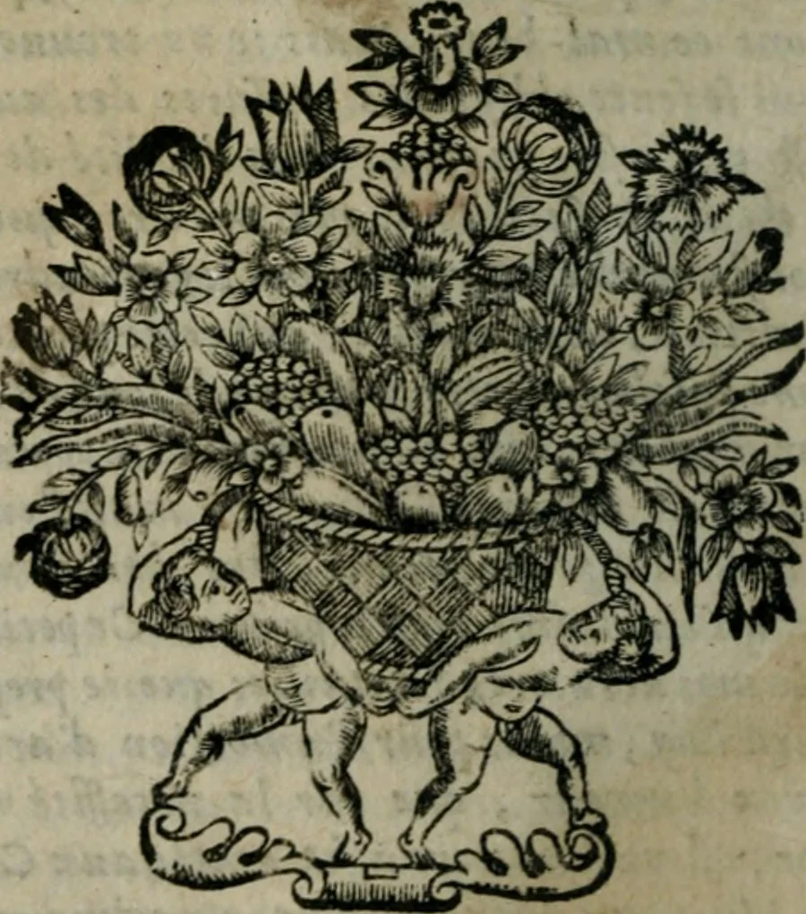 An illustration from Les oeuvres de Théophile, divisée en trois parties : dédiées aux beaux esprits de ce temps, 1662, leaf 251