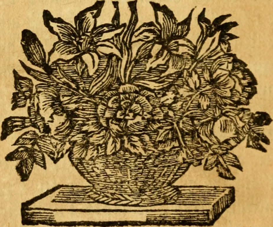 An illustration from Les oeuvres d'Ovide, 1697, leaf 107