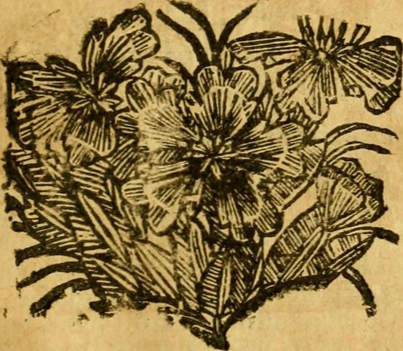 An illustration from Les oeuvres d'Ovide, 1697, leaf 108