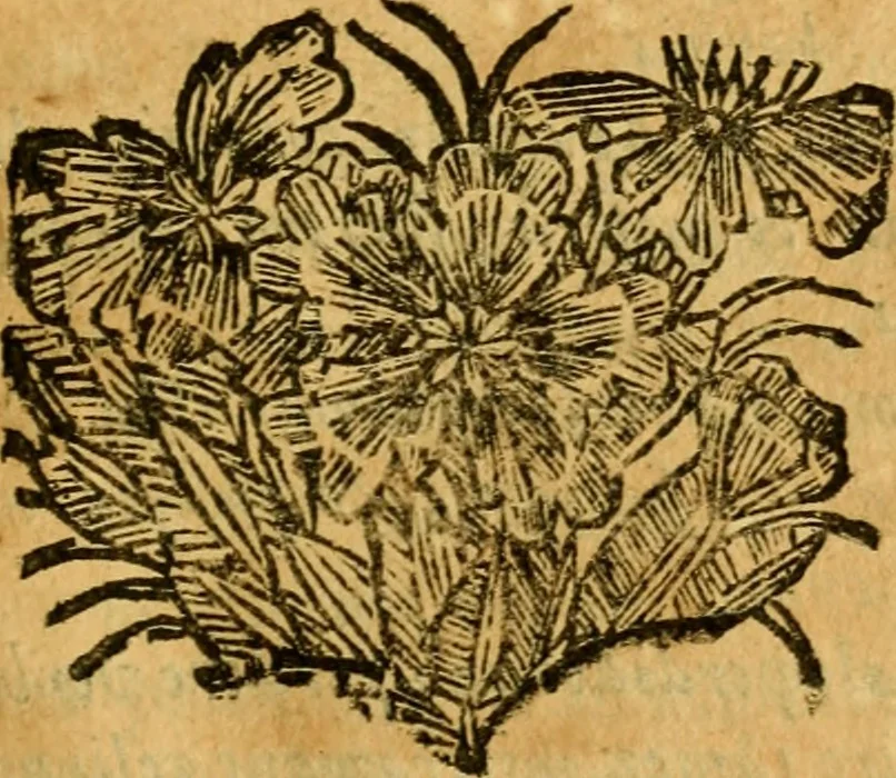 An illustration from Les oeuvres d'Ovide, 1697, leaf 146