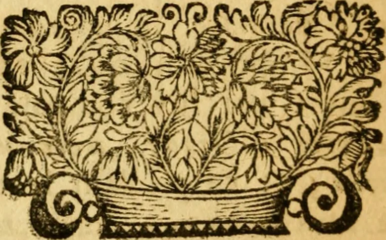 An illustration from Les oeuvres d'Ovide, 1697, leaf 17