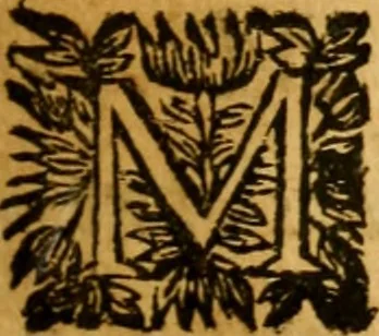 An illustration from Les oeuvres d'Ovide, 1697, leaf 20